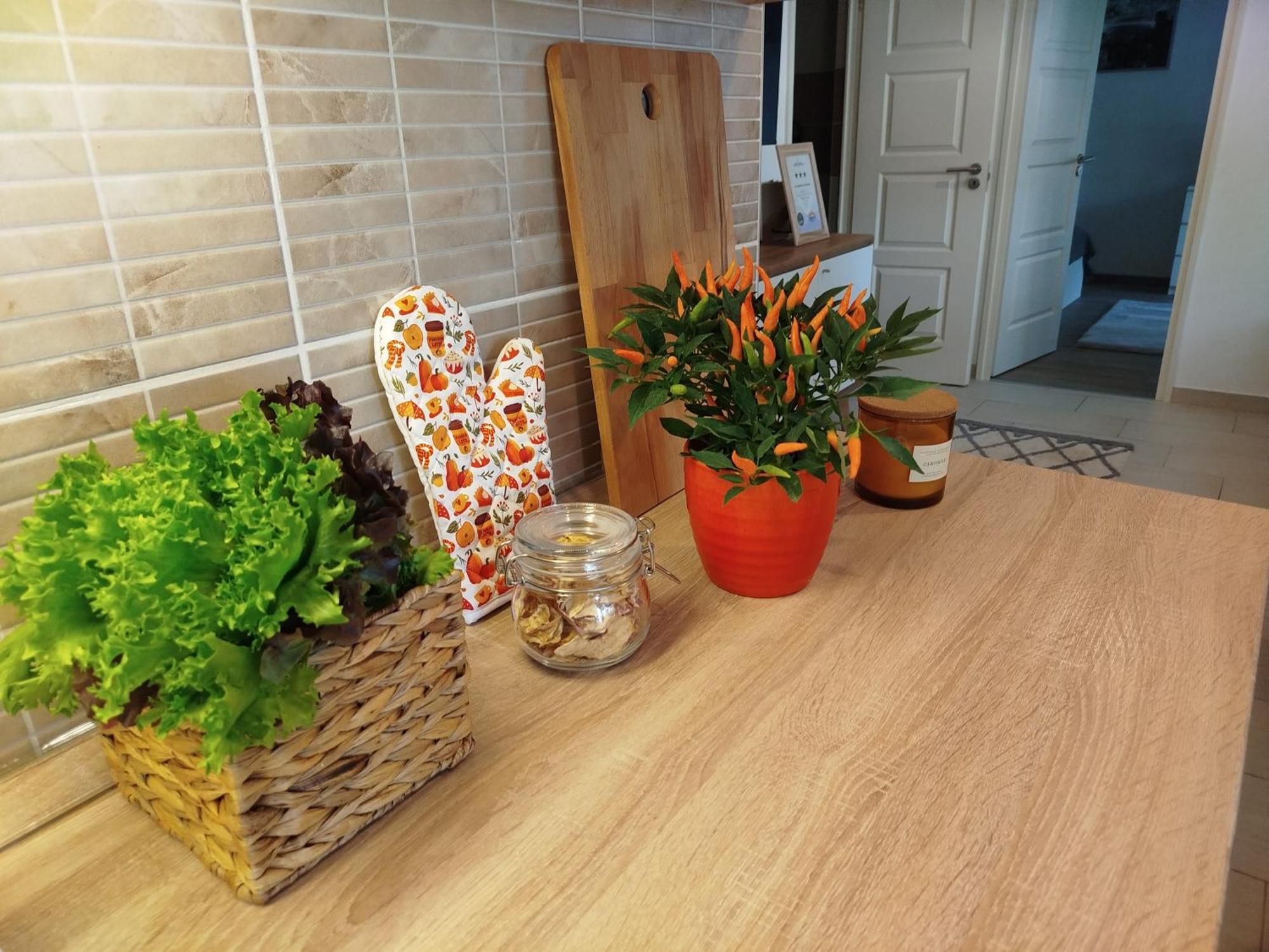 Lady Mabel'S Apartment Near To Arena, Puskas Stadion And City Park, With Guarded Parking Place Budapest Ngoại thất bức ảnh